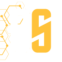 DevSeerAI