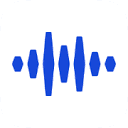 Voice AI v1