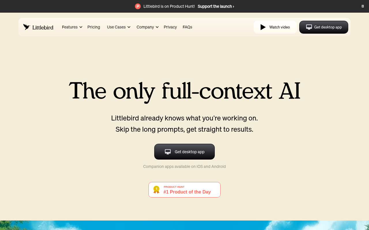 Littlebird screenshot