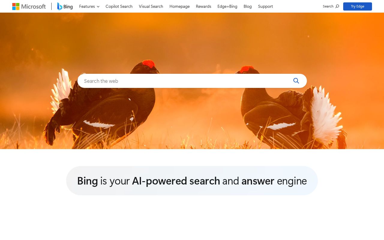 Microsoft Bing Review 2026: Pricing, Pros & Alternatives | TryAnAI